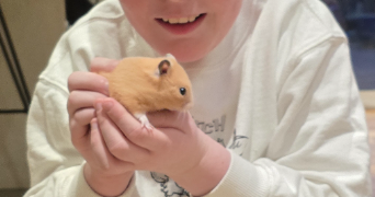 pauline pet sitter à DUNKERQUE 59240_3