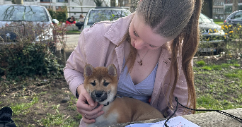 juliette pet sitter à MAISONS ALFORT 94700_1