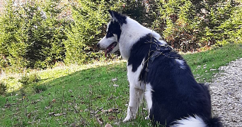 emilie pet sitter à LYON 03 69003_3