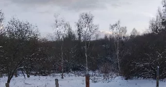 reda pet sitter à VAUHALLAN 91430