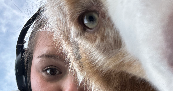 manon pet sitter à CHOISY LE ROI 94600_1