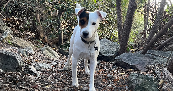 marion pet sitter à FREJUS 83600_3