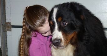 lilou pet sitter à RIEC SUR BELON 29340_0