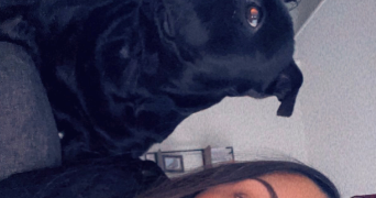 cassandra pet sitter à COURRIERES 62710_8