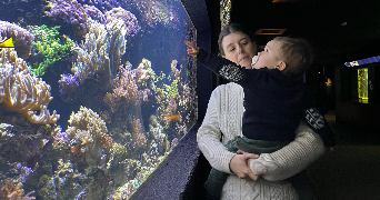 estelle pet sitter à VERSAILLES 78000_0