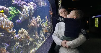 estelle pet sitter à VERSAILLES 78000