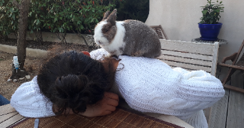 zoé pet sitter à LE HAVRE 76600_3