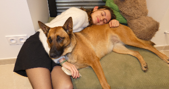 manon pet sitter à NORT SUR ERDRE 44390_2