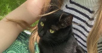 léanne pet sitter à AMIENS 80000_1