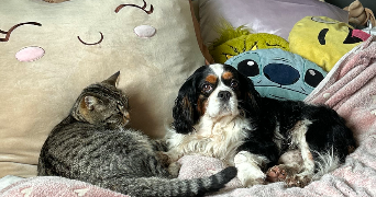 morgane pet sitter à LISTRAC MEDOC 33480_6