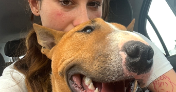 marie pet sitter à CONQUES SUR ORBIEL 11600_3