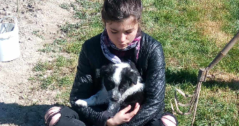 constance pet sitter à PRAHECQ 79230_3
