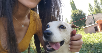 lisa pet sitter à Saint-Cloud 92150_10