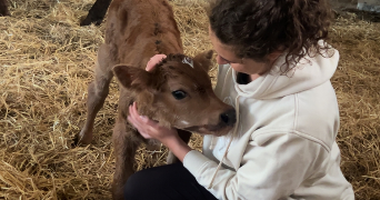 nora pet sitter à TORIGNY LES VILLES 50160_2