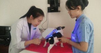 maturos pet sitter à MARSEILLE 14 13014_4