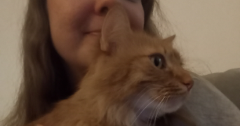 raphaëlle pet sitter à FONTENAY LE FLEURY 78330_2
