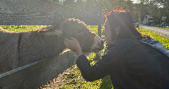 joan pet sitter à SELESTAT 67600_3