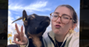 camille pet sitter à CHATEAU THEBAUD 44690_0