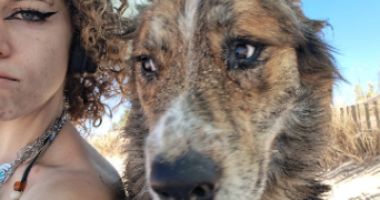 lisa pet sitter à VENELLES 13770_2