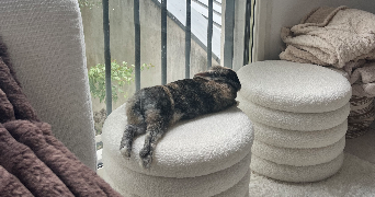 mathilde et florian  pet sitter à RENNES 35000_0