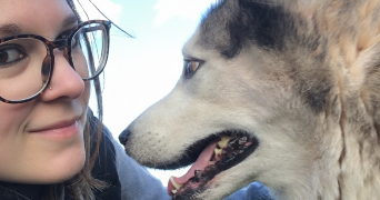 candy pet sitter à ABANCOURT 59268_4