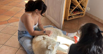 yvona pet sitter à LE BOUSCAT 33110_0