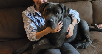 audrey pet sitter à MORET LOING ET ORVANNE 77250_4