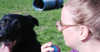 camille pet sitter à ROUEN 76000_0
