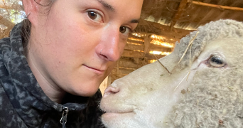 morgane pet sitter à VILLEFRANQUE 65700_12