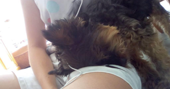 marina pet sitter à MONS EN BAROEUL 59370_2