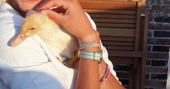 ombeline pet sitter à LE CHESNAY ROCQUENCOURT 78150_1