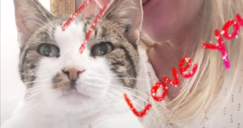 aurore pet sitter à EPINAY SUR SEINE 93800_0