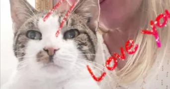 aurore pet sitter à EPINAY SUR SEINE 93800