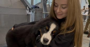 nora pet sitter à GOZÉE 6534_1