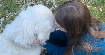 marie pet sitter à TOURNEFEUILLE 31170_3