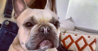 marine pet sitter à NEUILLY PLAISANCE 93360_0