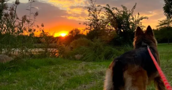 marie pet sitter à MARSEILLE 01 13001_1