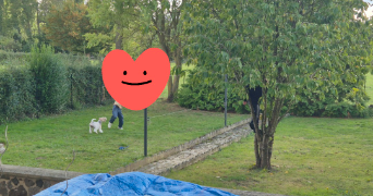 perrine dog sitter à POIX DU NORD 59218_4