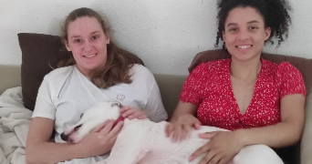 lise pet sitter à ST AMAND LES EAUX 59230_0