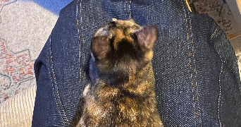 lucile pet sitter à BOULOGNE BILLANCOURT 92100_1