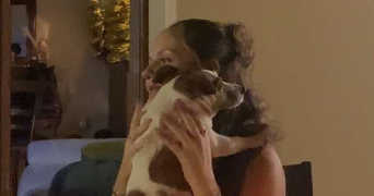 jade pet sitter à BOSROUMOIS 27670_0