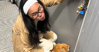 jenna pet sitter à ELBEUF 76500_0