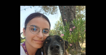 marine pet sitter à APT 84400_0