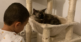 saadia cat sitter à CHATENAY MALABRY 92290_3