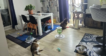 killian pet sitter à REIMS 51100_6