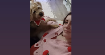 lallie pet sitter à Segré 49500_1