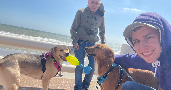 nicolas pet sitter à MONTDIDIER 80500_1