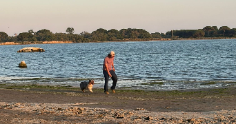 paul pet sitter à MONTPELLIER 34000_3