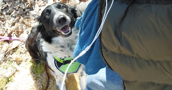 chloé pet sitter à Oullins Pierre Bénite 69600_1