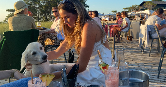 anna pet sitter à BIARRITZ 64200_2